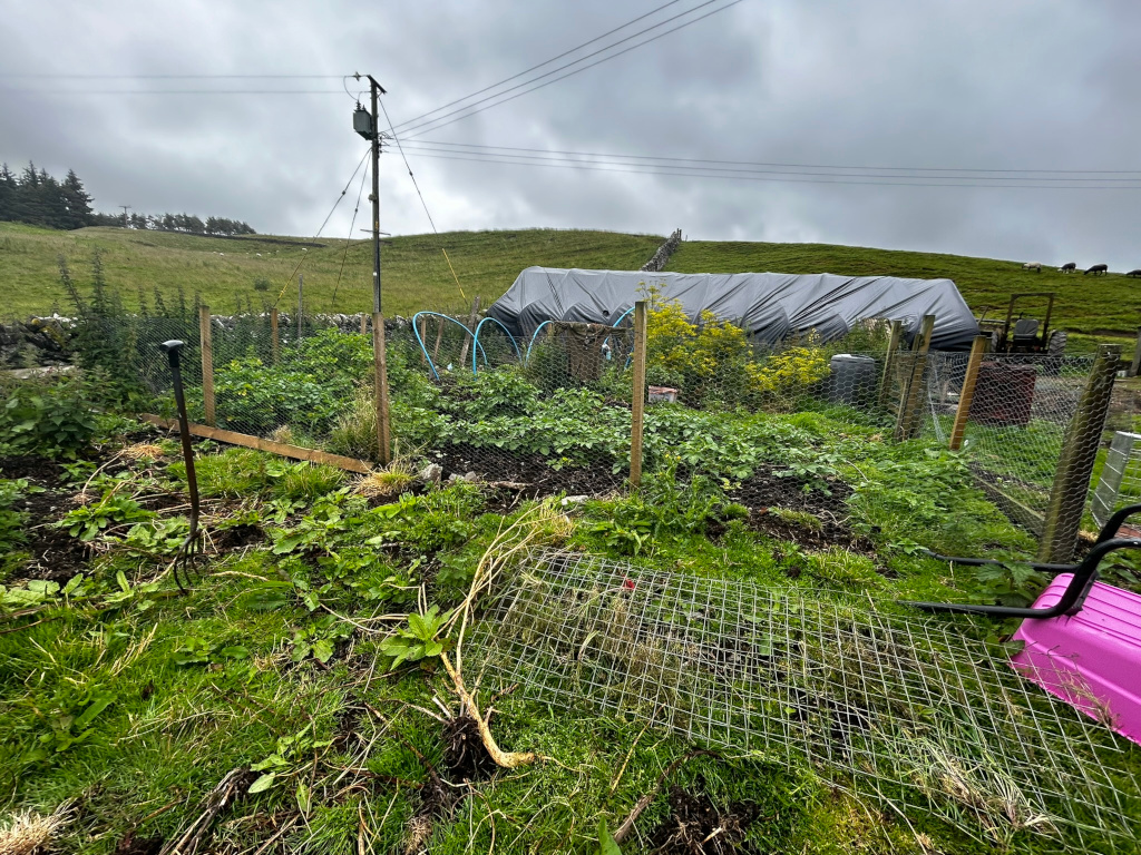 Small, somewhat overgrown vegetable garden enclosed by wire fencing. A garden fork is stuck in the ground near the foreground. A large tarp covers a structure in the background, and a pink wheelbarrow is partially visible to the lower right. The overall setting appears rural, with rolling hills and a stone wall visible in the distance. The sky is overcast.
