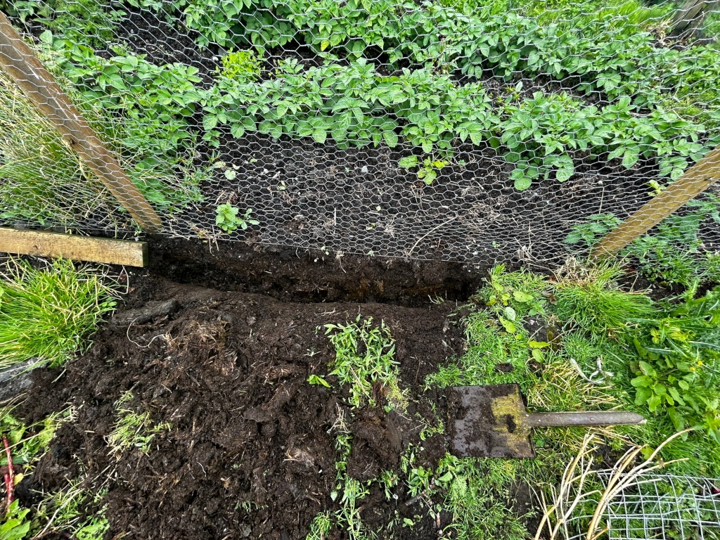 Section of a garden, specifically a trench dug alongside a chicken wire fence that encloses a patch of potato plants. A pile of dark soil or compost is placed beside the trench, and a garden trowel rests nearby. The overall scene suggests garden preparation or maintenance work.