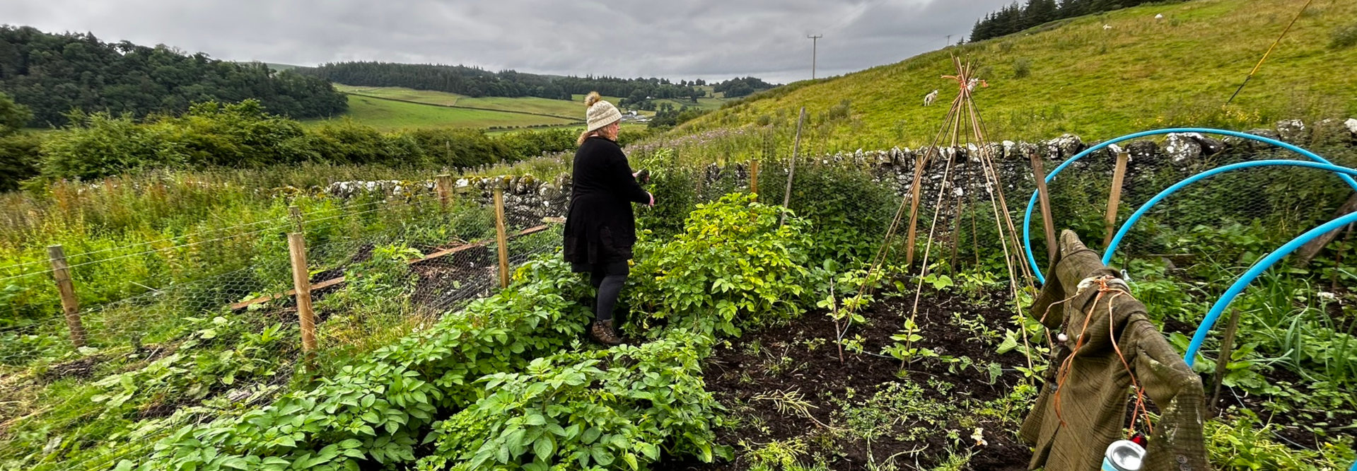 Leonie tending to a vegetable garden. The garden is enclosed by wire fencing and contains various plants, including what appears to be potatoes and beans, growing in rows. A scarecrow is visible in the lower right corner. The garden is situated on a hillside overlooking a verdant valley under a cloudy sky. The overall impression is one of rural life and self-sufficiency.