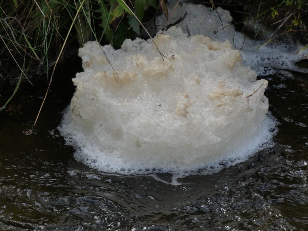 Large mass of white foam, possibly from polluted water, floating in a dark-coloured stream. The foam has a slightly off-white or tan tint in places, suggesting possible contaminants. The surrounding area appears to be natural, with vegetation visible along the bank of the stream.