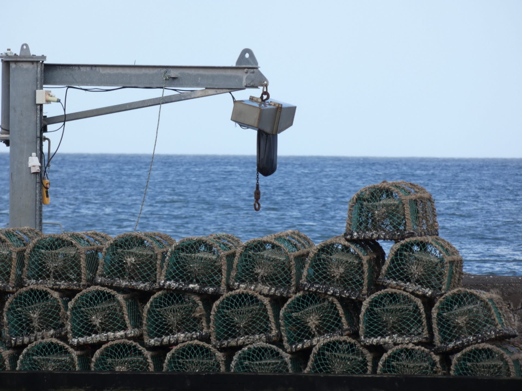 Stack of lobster pots, neatly arranged against a wall, with a small crane in the background. The scene is set against a backdrop of calm blue sea and a clear sky. The overall impression is one of a quiet fishing harbour or port.