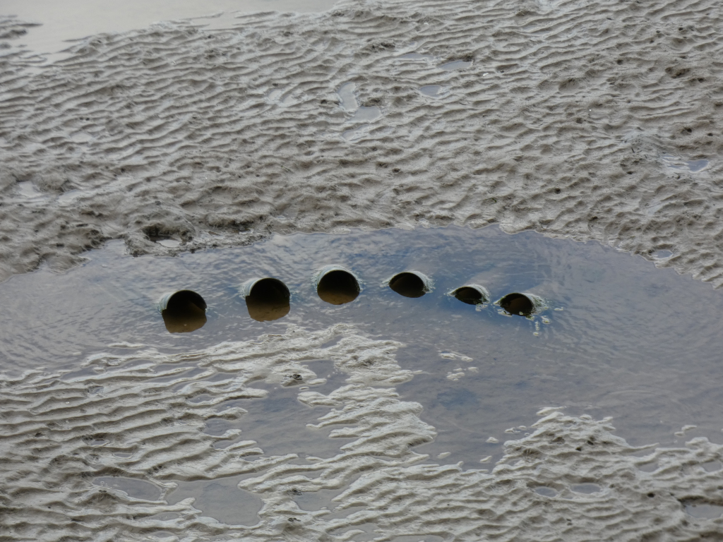 Muddy, sandy surface with a shallow pool of water. Five partially submerged drainage pipes are visible within the pool, arranged in a slightly curved line. The surrounding mud shows a textured pattern created by the receding tide. The overall impression is one of a coastal or tidal area.