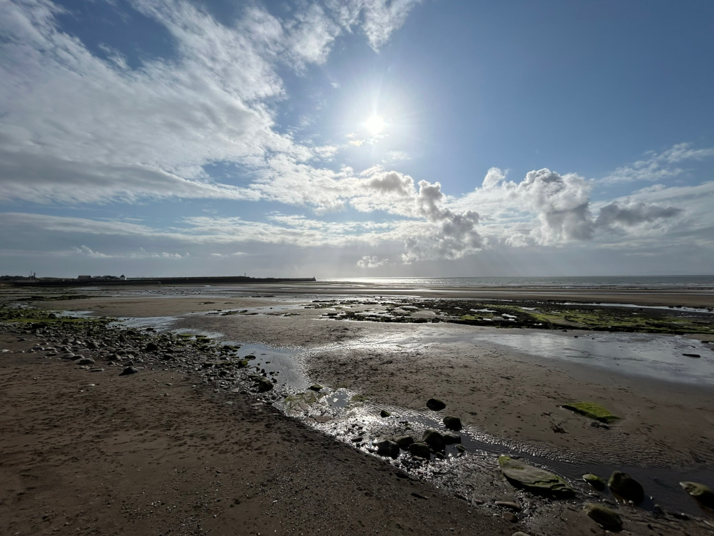 Wide sandy beach at low tide, with small streams or rivulets of water winding through the sand and rocks. Patches of seaweed are visible on some rocks. In the distance, a calm ocean stretches to the horizon under a partly cloudy sky with the sun brightly shining. A distant coastline or seawall is barely visible on the horizon.