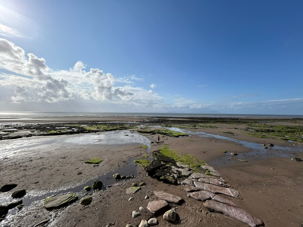 Wide sandy beach at low tide, with small streams of water flowing through the exposed seabed. Patches of seaweed are visible on the rocks and sand. In the distance, a calm sea stretches to the horizon under a mostly clear blue sky with fluffy white clouds. A lone person is visible in the mid-ground, walking along one of the small water channels.