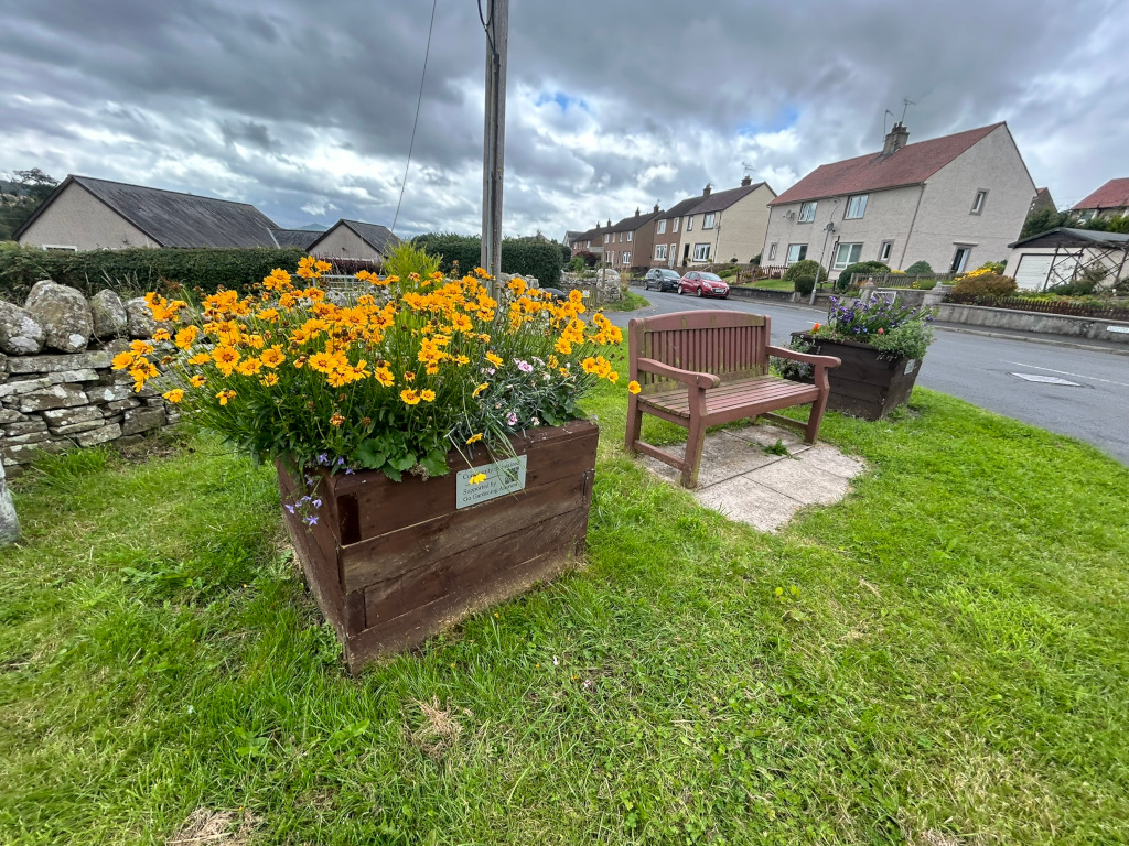 Wooden bench and a large planter box overflowing with bright yellow flowers. The planter is situated next to the bench, both set on a patch of grass in front of a row of houses. The overall scene is peaceful and suggests a community space. The sky is overcast.