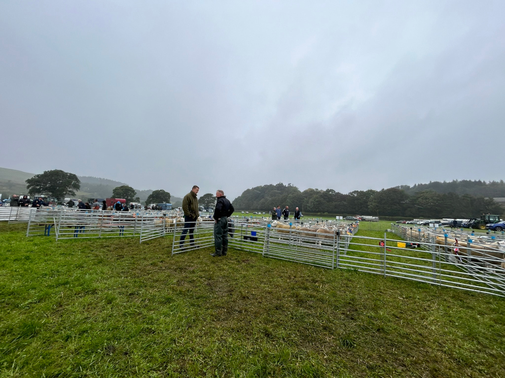 Sheep fair or agricultural show taking place outdoors on a cloudy day. Multiple pens containing sheep are set up in a field. Two men are standing near the pens, apparently discussing or inspecting the animals. In the background, more people and some parked vehicles are visible.