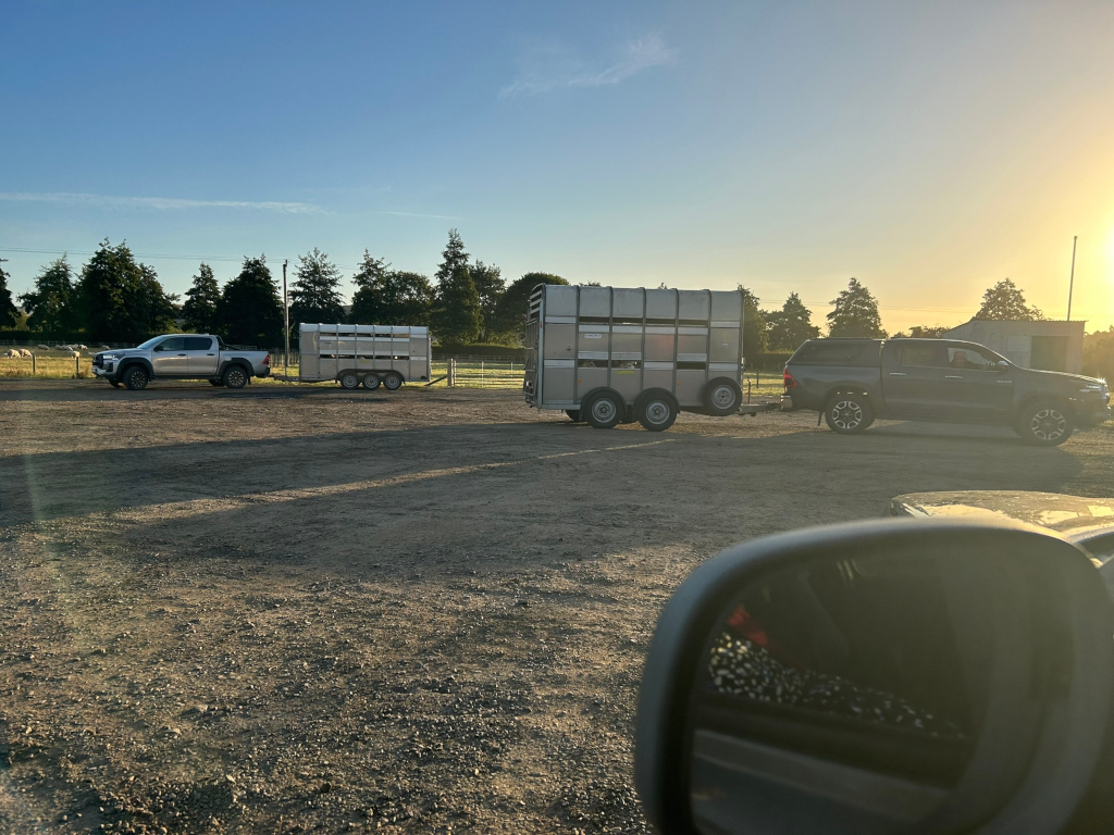 Two silver livestock trailers are parked, each hitched to a pickup truck. One truck is silver and the other is dark grey. The trucks and trailers are in a gravel area, with a field and trees visible in the background. A portion of a dark-coloured vehicle's side mirror is visible in the lower right corner, suggesting the photo was taken from another vehicle. The overall impression is of a farm or agricultural setting.
