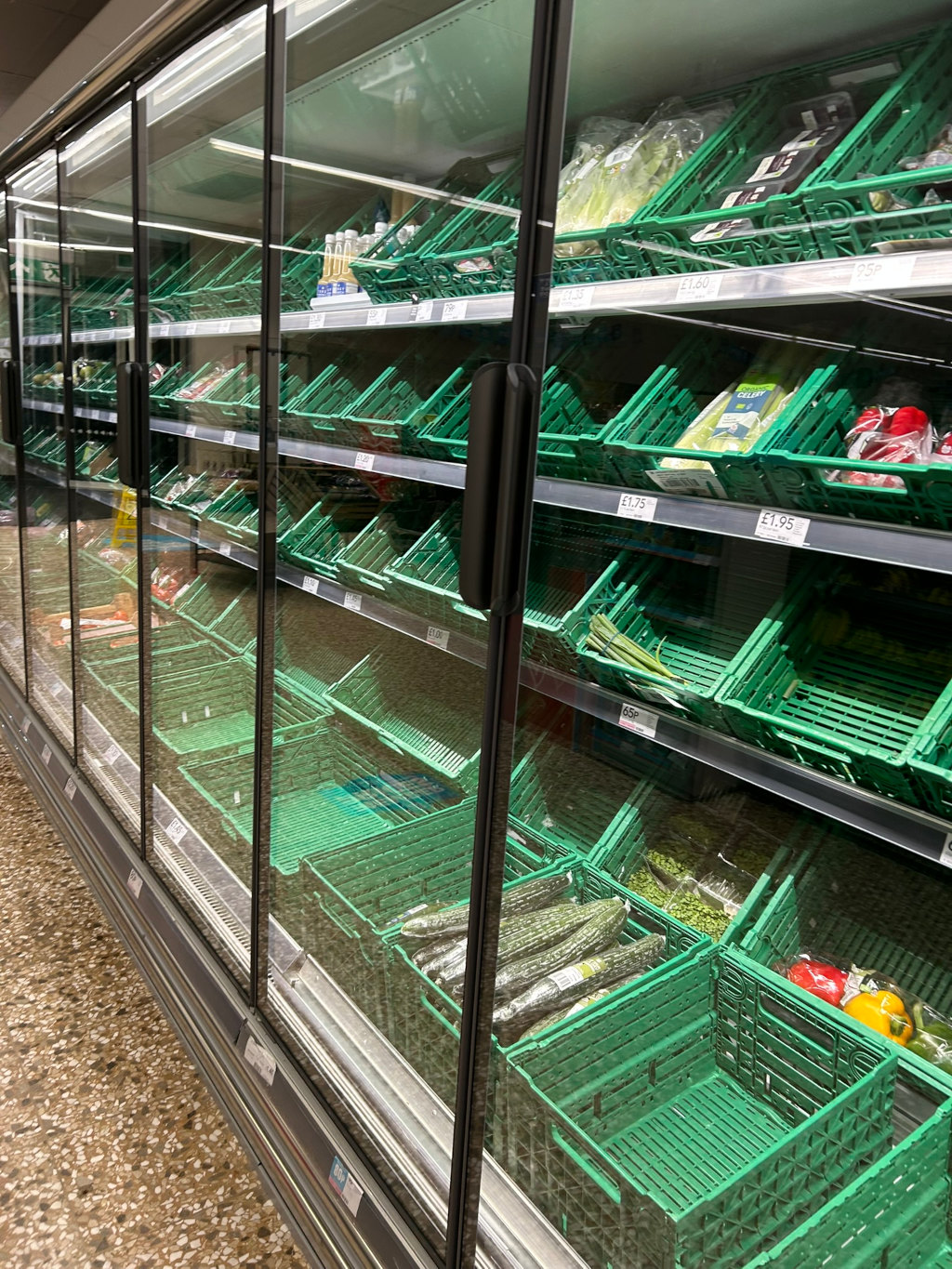 Refrigerated section of a supermarket, specifically a long aisle of produce. Many of the green plastic bins are mostly or completely empty, suggesting a low stock of certain items. Visible produce includes cucumbers, celery, peas, and some peppers.