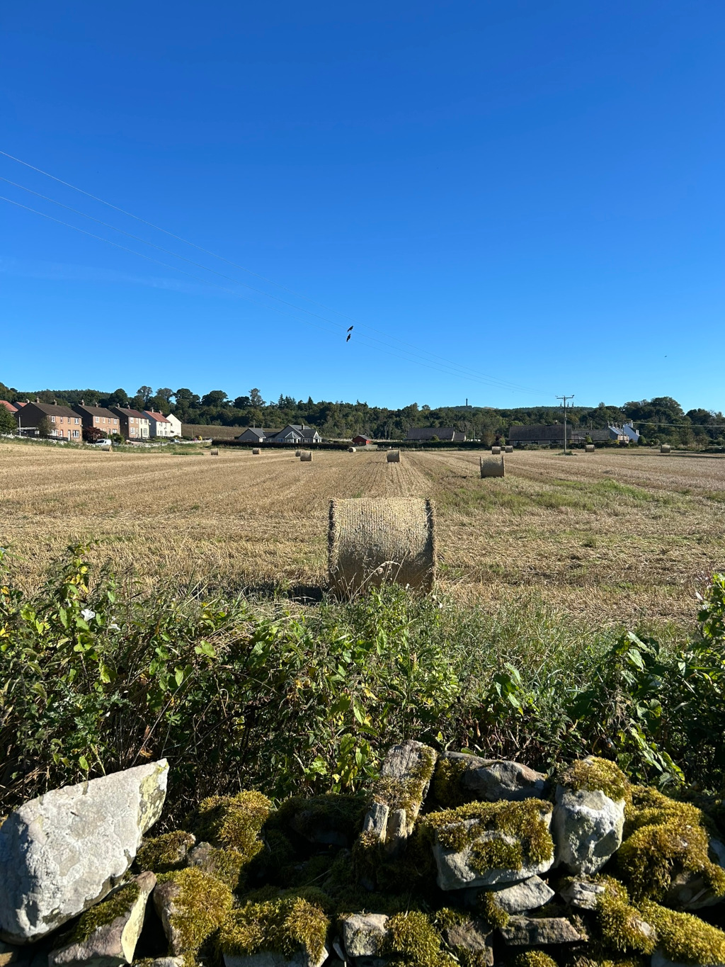 Rural landscape on a sunny day. In the foreground is a low stone wall covered in moss, separating the viewer from a harvested field. The field is largely golden brown, with several round hay bales scattered across it. In the distance, a small cluster of houses is visible underneath a clear blue sky. Two birds can be seen in flight against this sky. The overall impression is one of peacefulness and rural tranquillity.