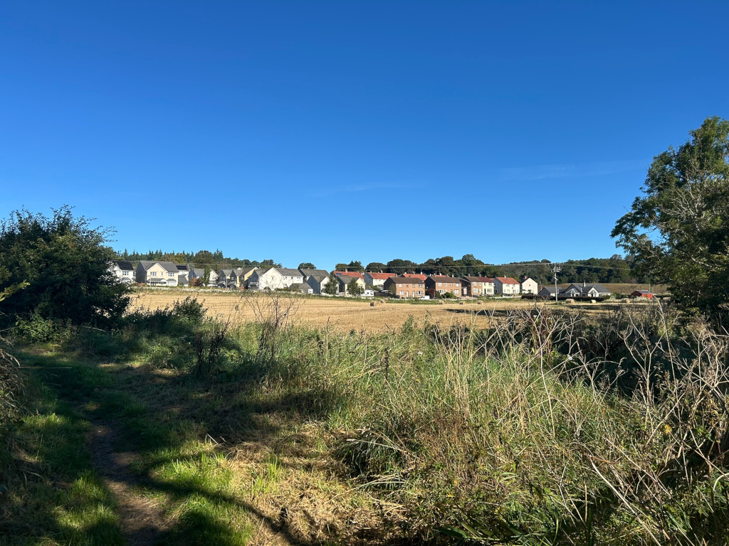 Row of houses in the distance, situated on a slightly elevated position. The houses are a mix of styles and colors, suggesting a relatively new housing development. In the foreground is a field of cut, dry grass or stubble, and tall vegetation partially obscuring the view of the houses. A partly visible footpath runs along the bottom-left of the frame. The sky is a clear, bright blue; indicating a sunny day