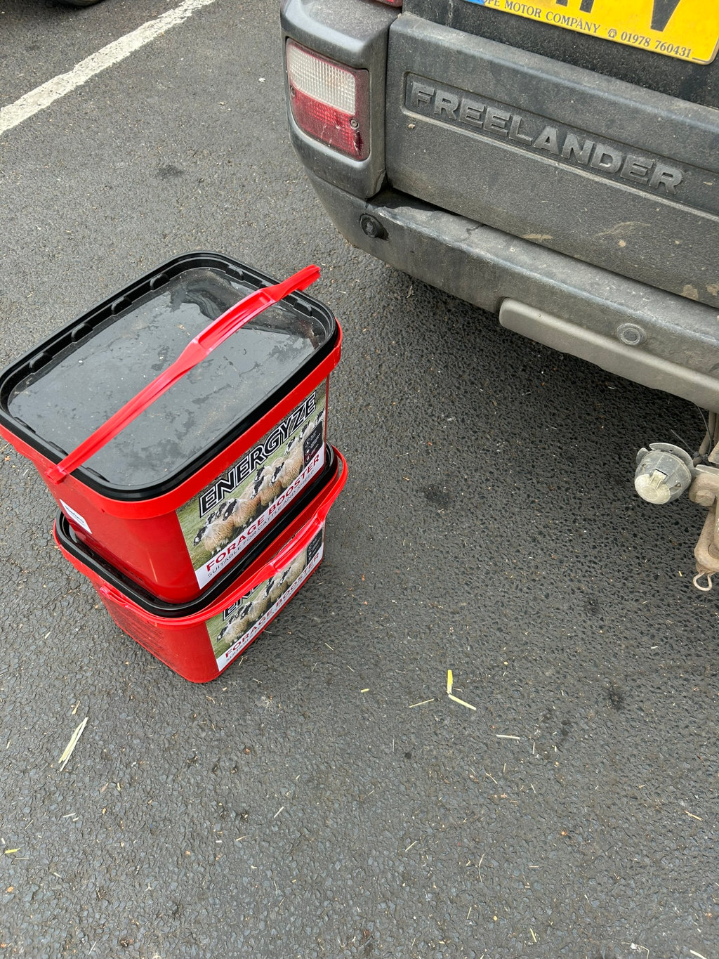Two red plastic buckets stacked on top of each other on a dark asphalt surface. The buckets contain Energize Forage Booster for sheep, as indicated by the label. A dirty Land Rover Freelander's rear end is partially visible in the background.
