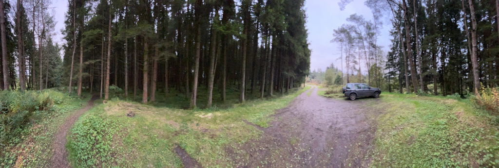 Panoramic view of a dirt road or track branching off into two paths within a dense forest. A dark-colored SUV is parked on the right-hand side of the main track, near the edge of the woods. The forest is primarily composed of tall, slender coniferous trees, suggesting a woodland setting. The overall atmosphere appears serene and somewhat secluded.