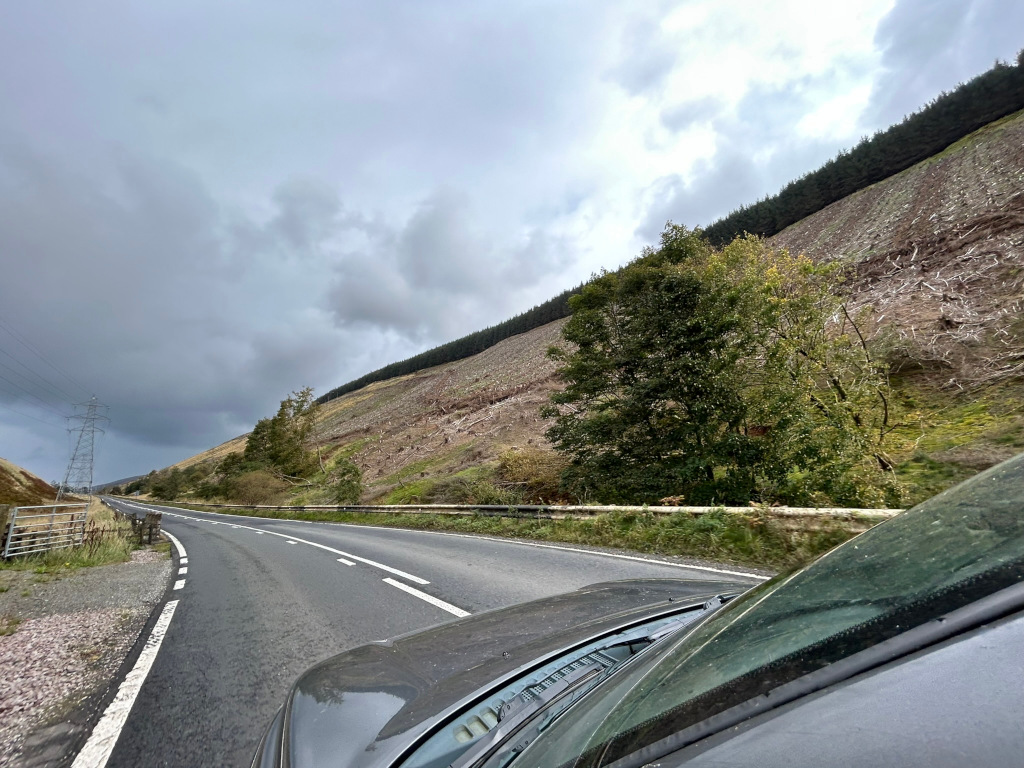 Inside a car driving along a road that curves gently to the right. The road is bordered by a low guardrail. To the right, a hillside rises steeply, showing a large area of clear-cut forestry with the remaining tree stumps visible. A few smaller trees and bushes grow at the edge of the road. In the distance, a high-voltage electricity pylon is seen. The sky is overcast and grey-white. The overall atmosphere is somewhat bleak and desolate due to the clear-cut hillside and overcast sky.