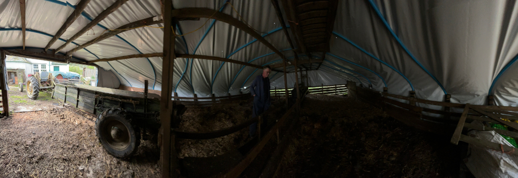 Interior of a rustic, makeshift barn or shelter. Charlie stands near the centre, looking towards the back. The structure is made of wood and covered with a plastic tarp supported by a simple framework. The floor is covered in straw or hay. An old tractor and trailer are visible just outside the entrance.