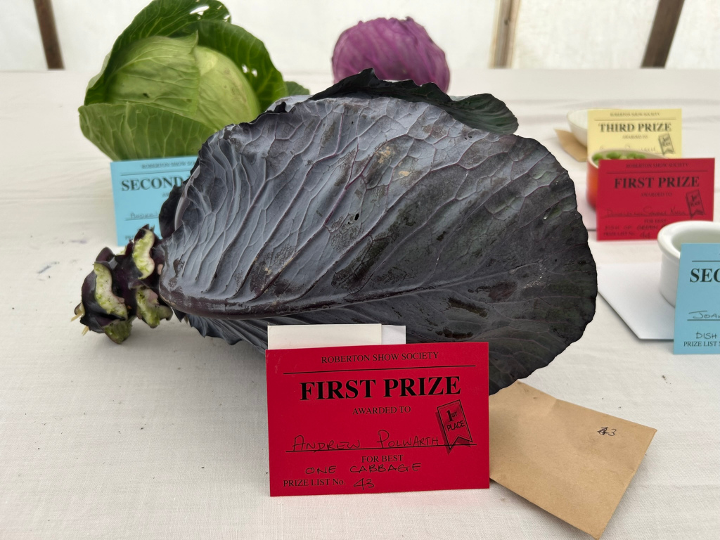 Prize-winning red cabbage at a Roberton Show Society competition. A large red cabbage leaf is prominently displayed, with a red card announcing it as the First Prize winner, awarded to Andrew Polwarth for Best One Cabbage. Several other cabbages (one green and one purple) are visible in the background, along with cards indicating second and third prize winners, various small containers, and a numbered envelope, suggesting a more extensive agricultural show or competition. The overall feel is one of agricultural achievement and community celebration.