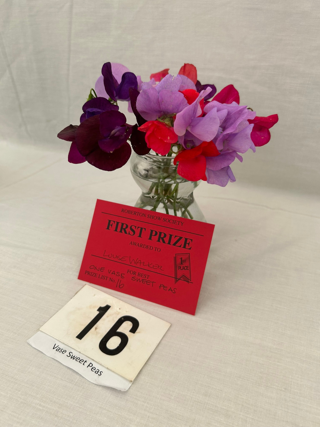 Small glass vase filled with a bouquet of sweet peas in varying shades of purple, pink, and red. The vase sits on a white tablecloth next to a red card announcing a First Prize awarded to Louise Walker for One Vase for Best Sweet Peas at the Roberton Show Society (Prize List No. 16). A small white card with the number 16 further identifies the entry. The overall impression is one of a celebratory moment at a flower show, highlighting a prize-winning floral arrangement. The vibrant colours of the sweet peas and the crisp presentation of the prize card suggest a sense of accomplishment and pride.