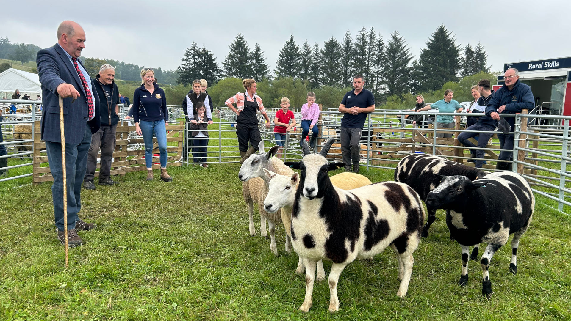 A sheep judging event at an agricultural show. A group of people, including judges and spectators, are gathered around a pen containing several sheep of different breeds and colors, some of which are black and white. One judge in particular stands prominently at the front, holding a walking stick. The setting appears to be outdoors, in a grassy field, with trees and a background suggesting a rural location. A building with “Rural Skills” signage is visible in the background.
