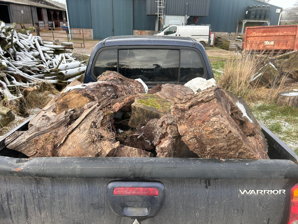 Back of a dark-coloured pickup truck, labelled Warrior, filled with a large quantity of logs and wood chunks. The wood appears to be rough-hewn and possibly freshly cut, with visible bark and some moss. The truck is parked in a rural setting near a barn and piles of other wood, suggesting a logging or firewood operation. There is a light dusting of snow on the ground.