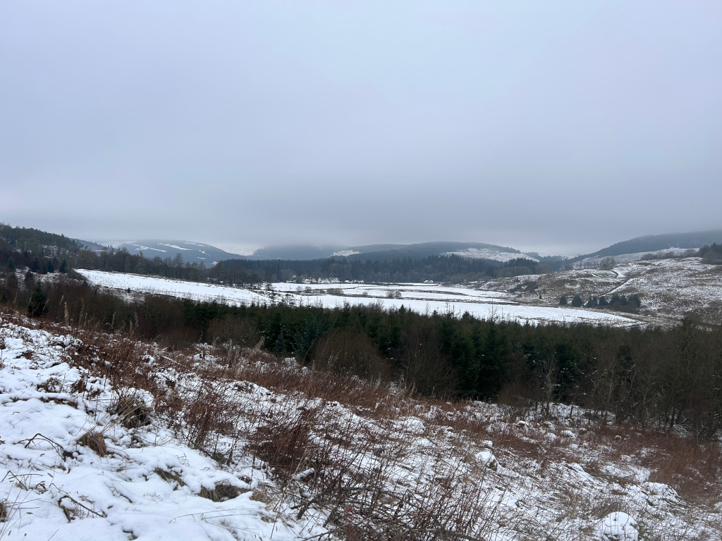Snow-covered landscape viewed from a hilltop. In the foreground is a gently sloping hillside with patches of snow and brown, withered vegetation. The mid-ground reveals a flat valley with a dark evergreen forest and some open, snow-covered fields. Rolling hills covered in snow and sparsely treed extend into the background under a grey, overcast sky. 