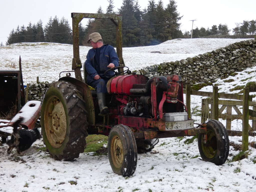 Charlie in a blue work jacket and a light brown hat driving a vintage, rusty red tractor on a snowy, rural landscape.  A small dark-coloured dog runs near the tractor in the foreground. The background features a stone wall and a line of evergreen trees. The overall scene evokes a feeling of rural life and work in winter.