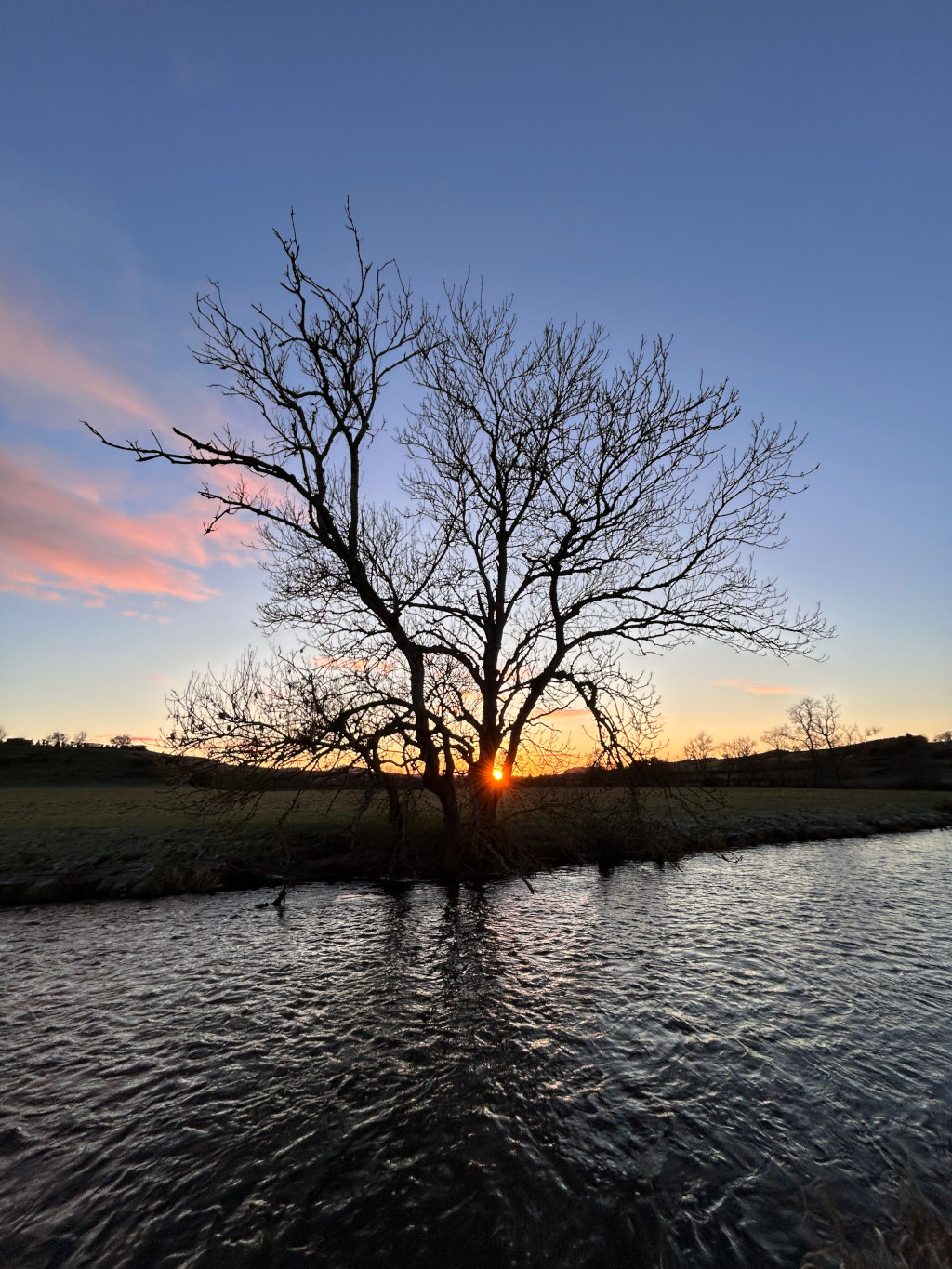 Leafless tree silhouetted against a sunset. The tree stands on the bank of a calm river, with the setting sun appearing directly behind it, creating a bright orange orb visible through the branches. The sky is a blend of deep blue and pastel pink hues, reflecting on the water's surface. The overall mood is serene and peaceful, highlighting the beauty of nature at twilight.