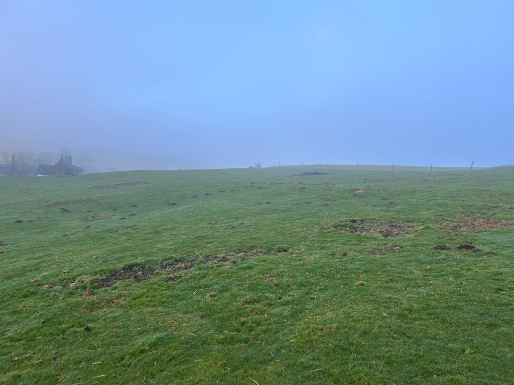 Gently sloping grassy field on a foggy day. Numerous molehills are visible across the field. In the far background, a building is barely visible through the fog. The overall mood is peaceful and somewhat misty.