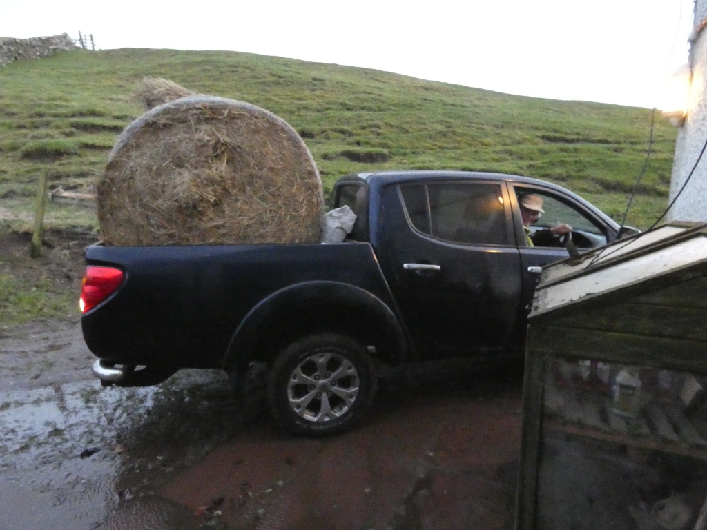 Dark-coloured pickup truck carrying a large round bale of hay in its bed. The truck is parked on a wet, muddy driveway, with a small wooden structure visible in the lower right corner. A person is seated in the driver's seat of the truck. The background is a grassy hillside. The overall impression is of rural farm work.