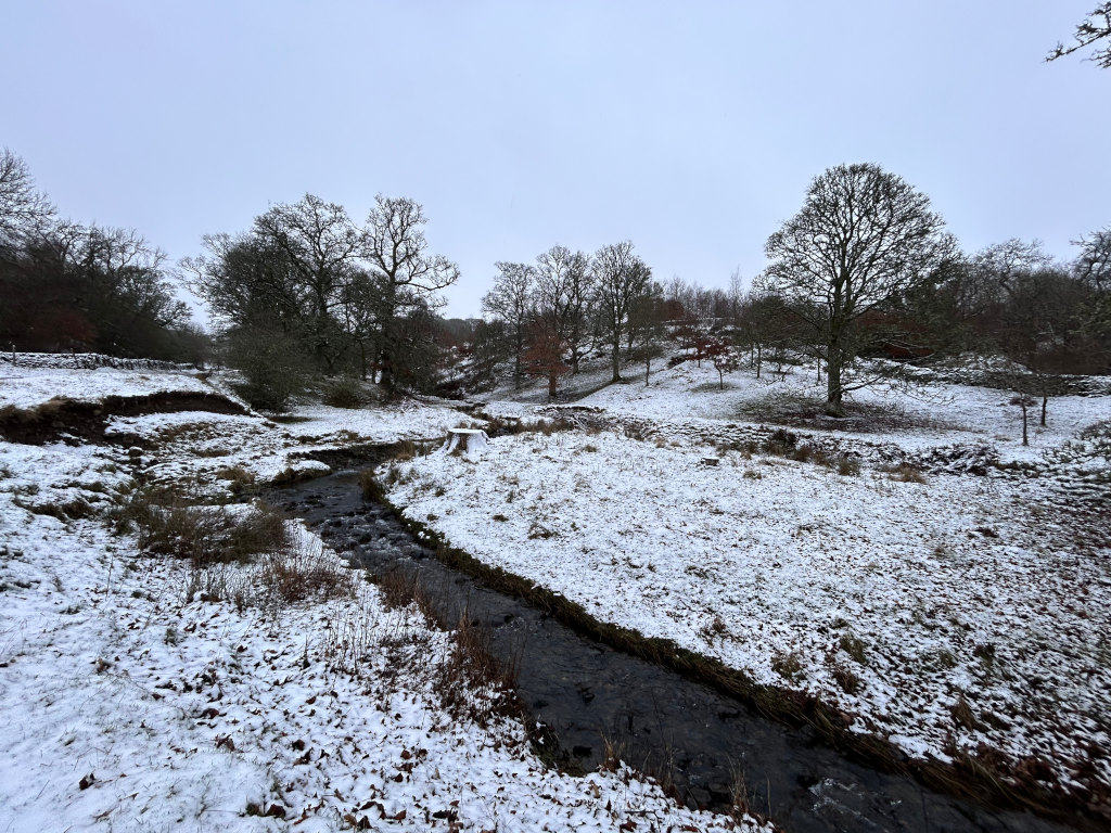Snow-covered landscape with a small stream running through it. Bare, deciduous trees stand on the gently sloping banks of the stream. The sky is overcast and a light layer of snow blankets the ground, creating a serene, wintry scene. The overall mood is peaceful and quiet.