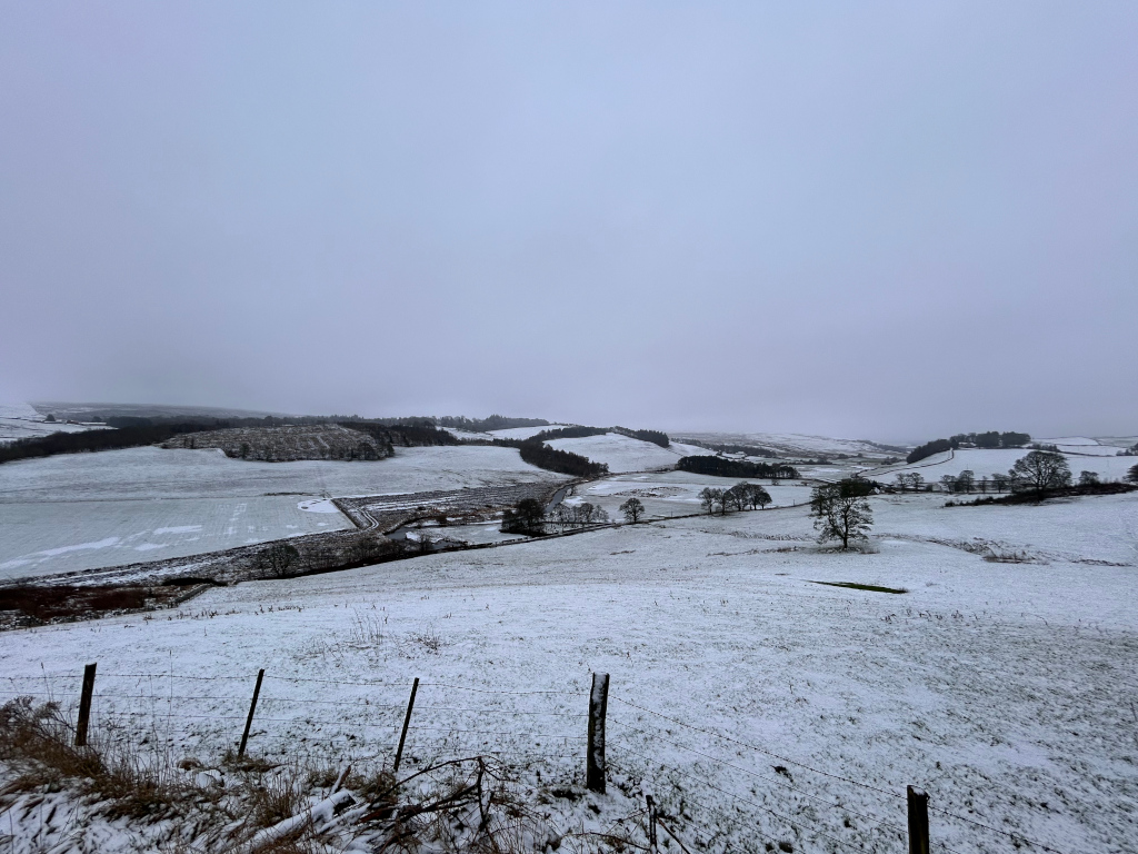 Snow-covered landscape, viewed from a slightly elevated position. The foreground consists of a snow-covered field with a wire fence. In the mid-ground and background, gently rolling hills are visible, also covered in snow. Sparsely distributed trees and patches of darker land are visible amidst the snow. The overall atmosphere is muted and tranquil, with a pale grey sky suggesting an overcast day. The scene evokes a sense of quiet solitude and the stark beauty of a winter landscape.