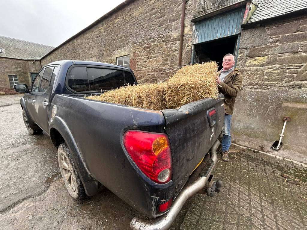 Charlie loads bales of hay into the back of their pickup truck.  The truck bed is partially filled with several large rectangular bales of straw or hay. The background consists of an old stone barn or outbuilding, showing some age and wear. The overall atmosphere is one of rural work and quiet contentment. The ground is wet and muddy in places. The sky is overcast and grey, adding to the somewhat sombre but peaceful mood. A shovel or similar tool leans against the wall of the barn.