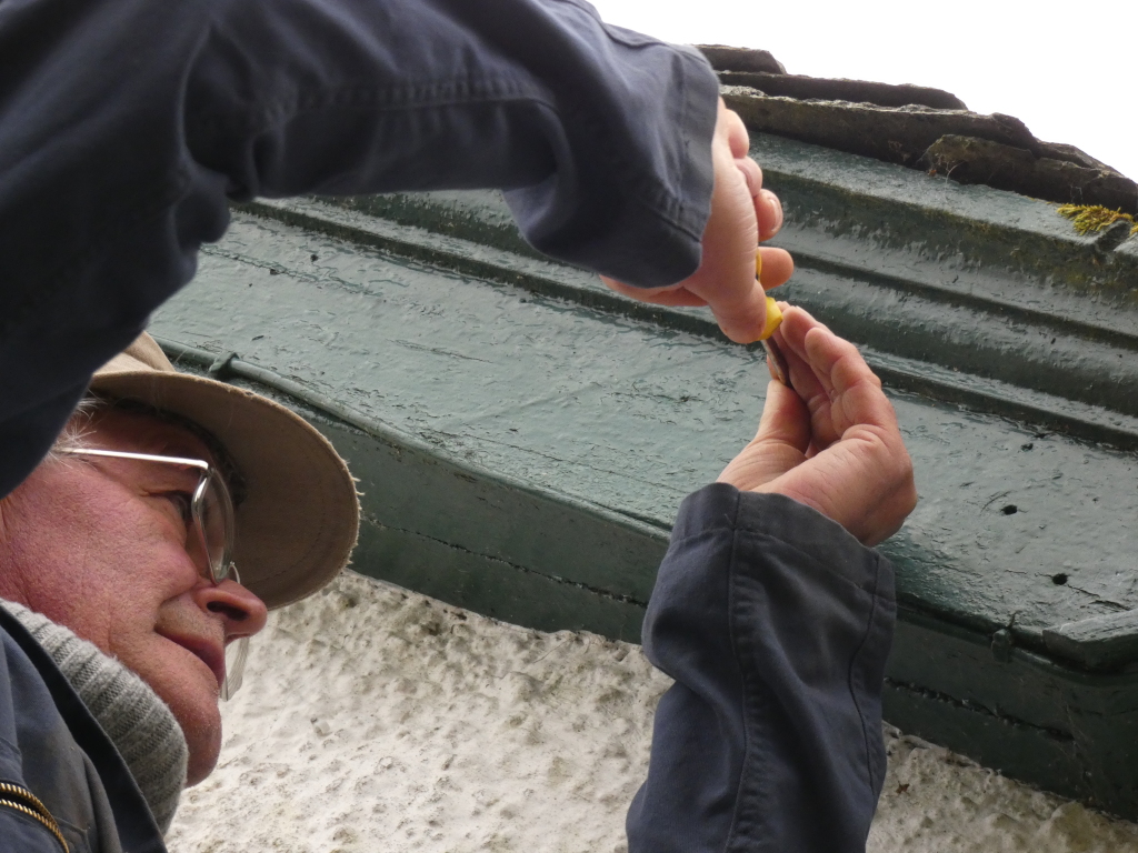 Close-up view of Charlie, from the chest up, using a small yellow screwdriver to work on a dark green wooden painted surface. Charlie is wearing a dark blue jacket, a light beige hat, and glasses. The background shows a textured off-white wall. The scene suggests a repair or maintenance task is underway.