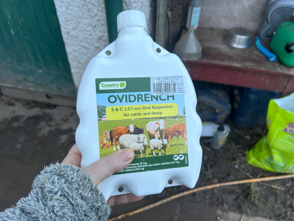 Leonie holding a bottle of Ovidrench, an oral suspension for cattle and sheep. The bottle is white with a green label showing a pastoral scene with various farm animals. The background is blurred but appears to be a farm setting with various tools and containers visible. The overall impression is one related to livestock farming and animal health.