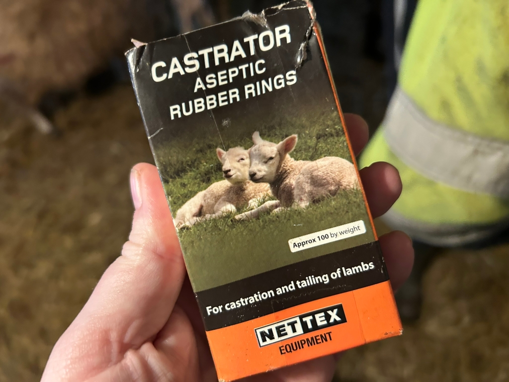 Leonie holding a box of Aseptic Rubber Rings for castrating and tailing lambs. The box features a picture of two lambs lying in grass. The background suggests a farm setting. The overall content depicts a common agricultural practice.