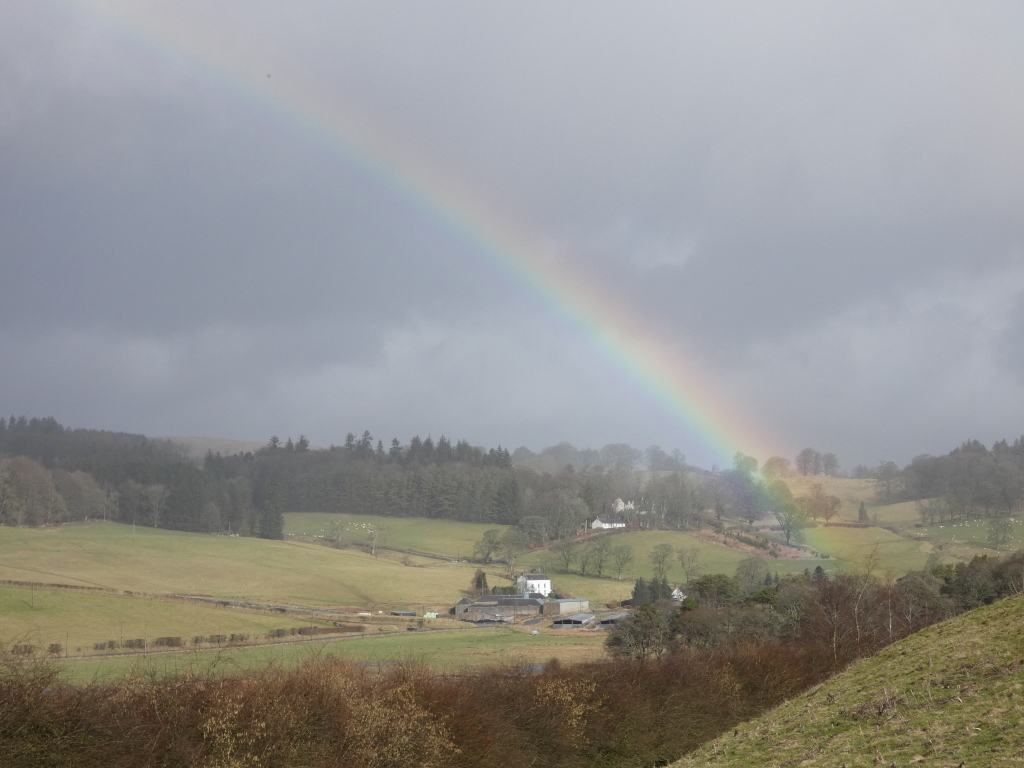 Vibrant rainbow arches across the scene, its colours partially obscured by the overcast conditions, suggesting a recent rainfall. The landscape is gently rolling hills dotted with farm buildings, trees, and grazing sheep, creating a tranquil yet somewhat sombre atmosphere. The contrast between the vibrant rainbow and the subdued colours of the landscape creates a visually compelling scene. The overall feeling is one of quiet beauty and perhaps a sense of hope or renewal following a storm.