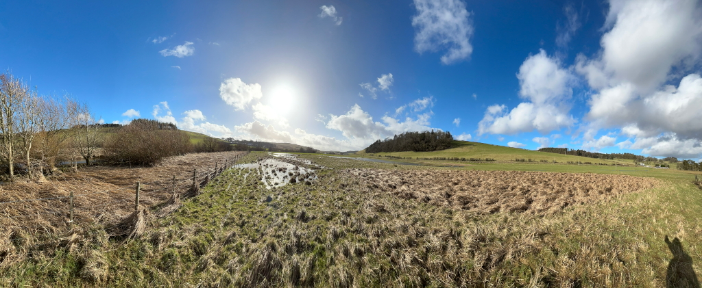 Panoramic view of a rural landscape under a bright, sunny sky. The foreground shows a field of dry, brown grass with patches of green and some standing water. A wooden fence runs along the left side. In the mid-ground, a shallow, flooded area is visible. The background features gently rolling hills, some sparsely wooded.