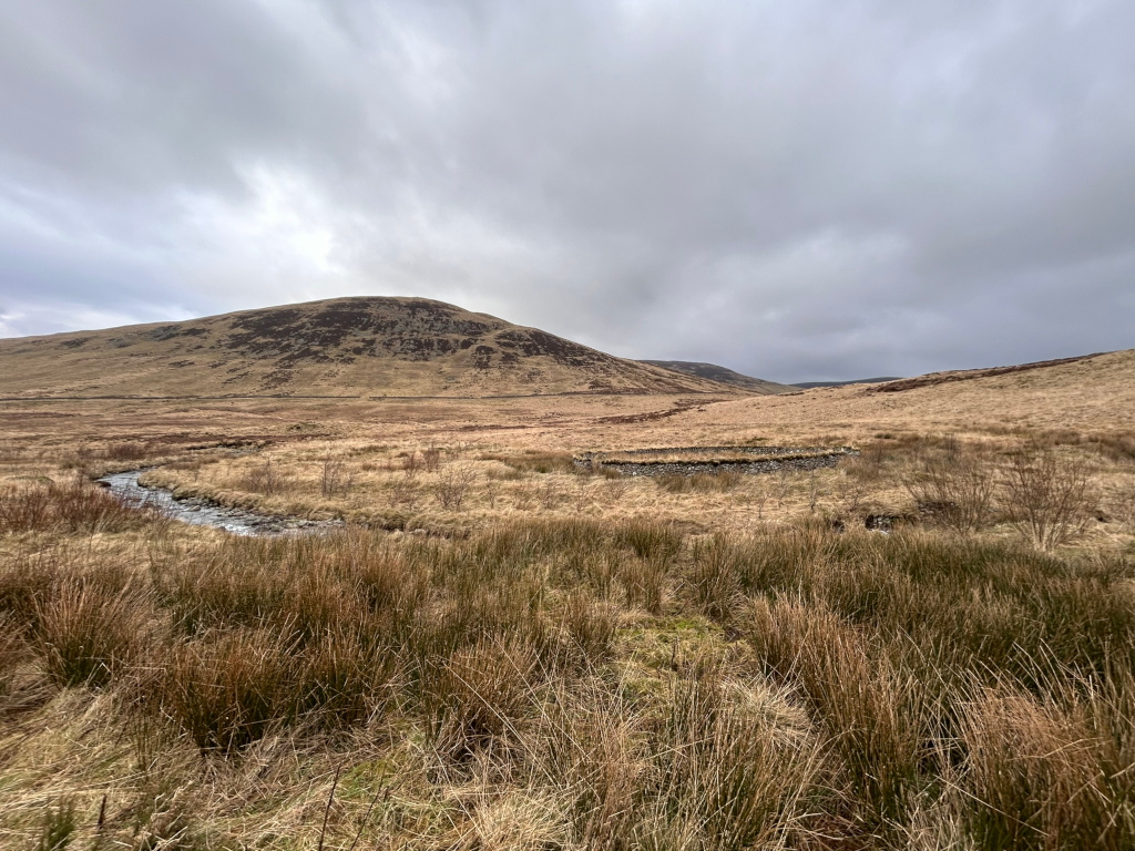 Tranquil, desolate landscape under a cloudy sky. A small stream meanders through a flat expanse of dry, brown grass and low vegetation. In the mid-ground, there's a low stone structure, possibly a ruin or a remnant of a wall. Rolling hills rise in the background, their surfaces appearing barren and windswept. The overall mood is one of quiet solitude and the vastness of nature. The muted colours and cloudy sky enhance the feeling of stillness and perhaps a sense of remoteness.