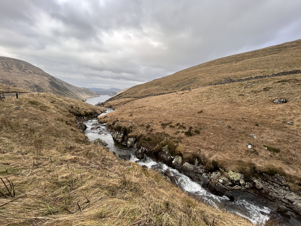 High-angle, long shot of a valley landscape under a cloudy sky. A stream flows from the background towards the foreground, carving a path through dry, brown-gold grass and rocky terrain. The stream eventually leads to a larger body of water (likely a reservoir or lake) visible in the distance between the hills. The overall palette is muted, dominated by browns, greys, and the pale grey of the sky. The scene is one of quiet, rugged, natural beauty.