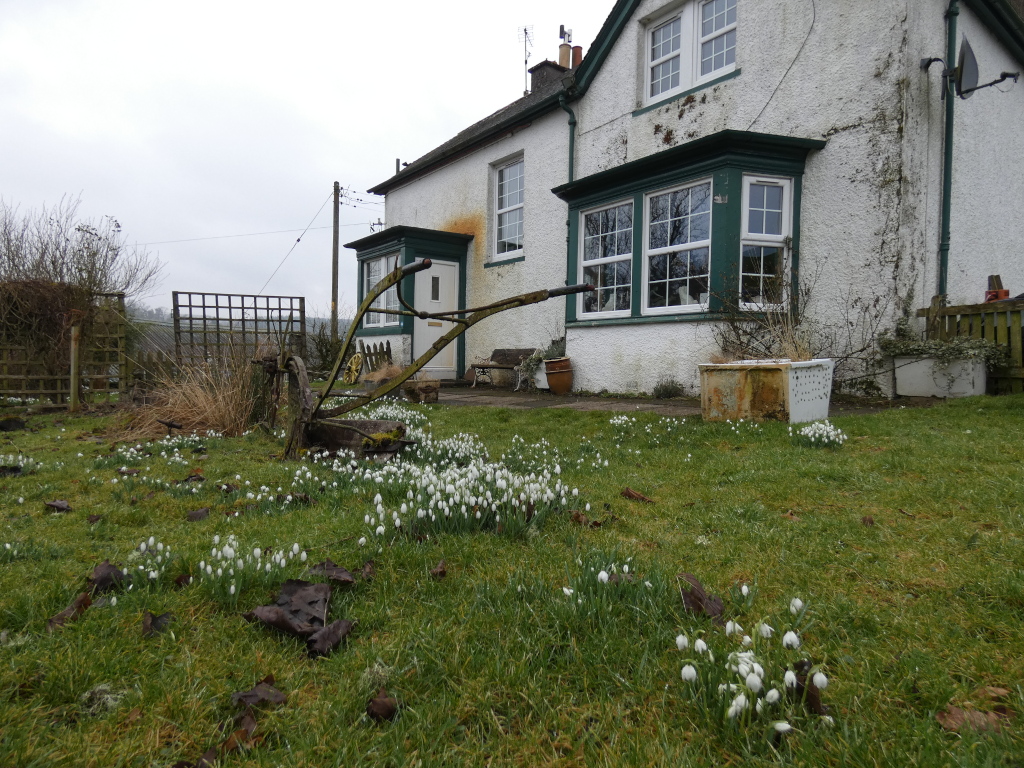 A rustic, whitewashed cottage with a green bay window. In the foreground, an old, weathered plough rests on a lawn dotted with snowdrops. The scene suggests a quiet, perhaps rural, setting. The juxtaposition of the antiquated plough with the more modern house and the delicate snowdrops creates a sense of time passing and the enduring beauty of nature.