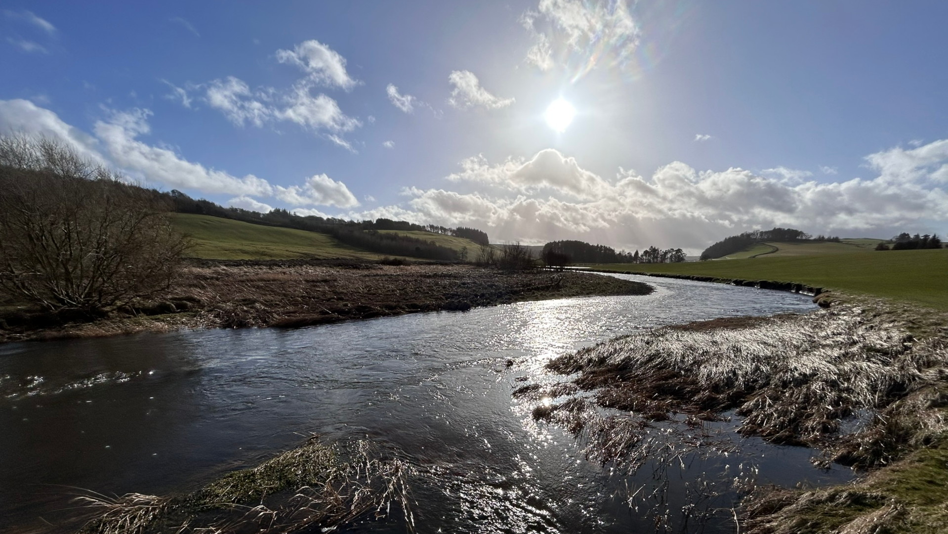 Gently curving river flowing through a verdant valley under a bright, sunny sky. The banks are lined with dried grasses, and the river reflects the sunlight. Rolling hills, sparsely populated with trees, form a picturesque backdrop.