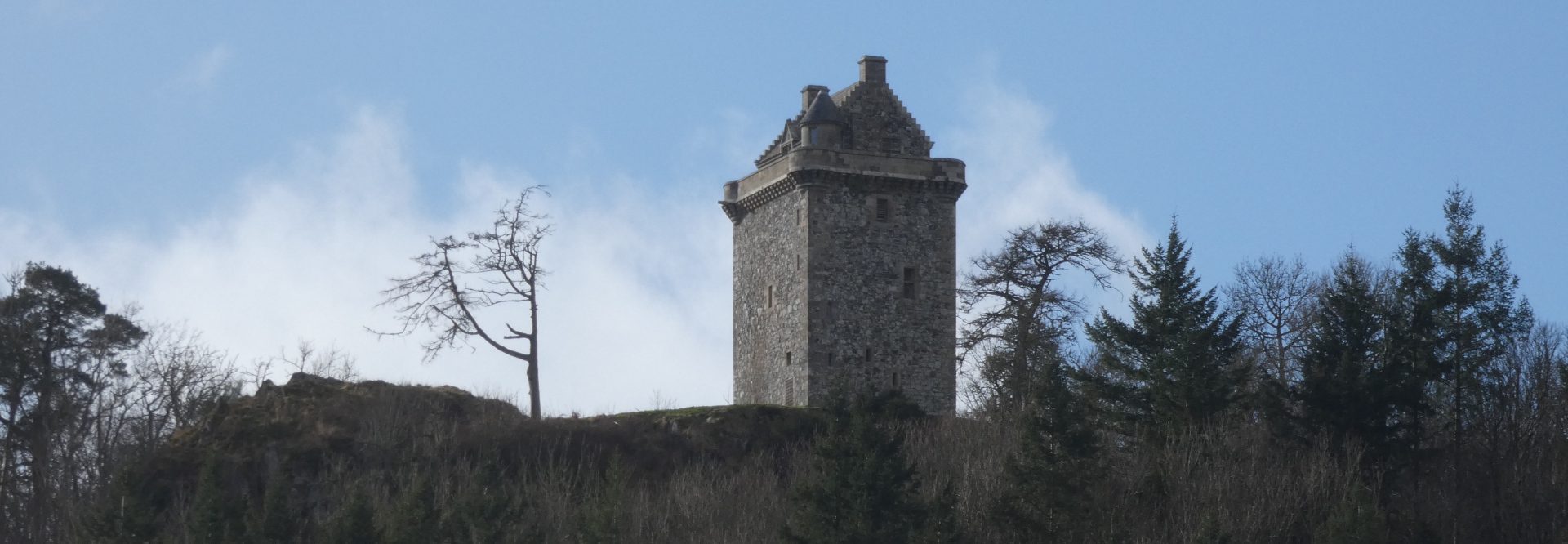 A tall, stone tower situated atop a small hill or rise. The tower appears to be of medieval or historical design. The hill is covered in dark, mostly leafless trees and shrubs. The sky is a pale blue, with some wispy clouds. A single, bare tree stands prominently to the left of the tower.