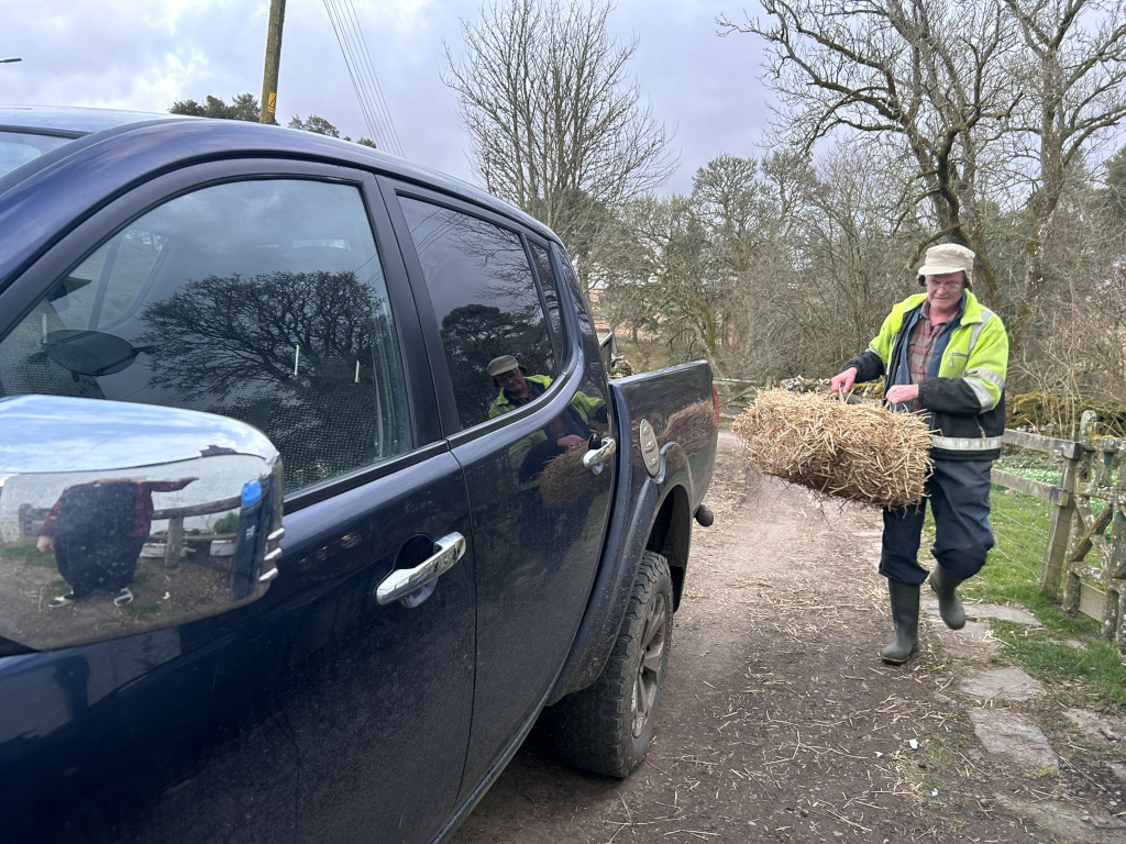 Charlie in a cap and high-visibility jacket carrying a bale of hay towards a dark blue pickup truck parked on a dirt road. The background is a rural landscape with trees and a stone wall. The overall impression is one of farm work or rural chores.