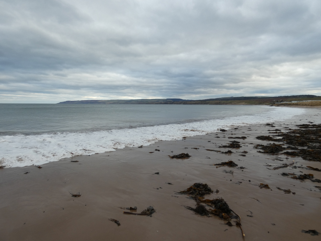 Wide shot of a beach on a cloudy day. The sand is light brown, and seaweed is scattered across it. Gentle waves are lapping the shore. In the distance, a dark, hilly coastline is visible under a grey sky. The overall mood is calm and somewhat melancholic due to the overcast sky and muted colours.