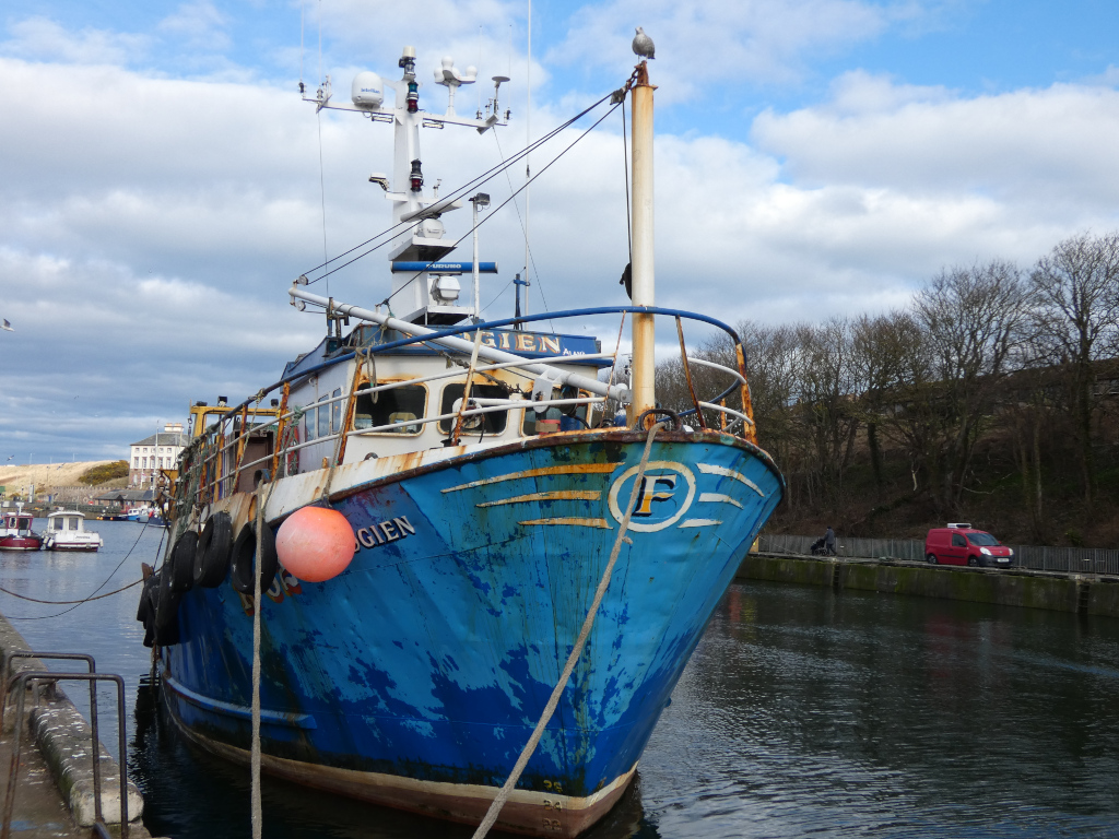 Weathered, blue and white fishing trawler, partially named GIEN, docked in a harbour. A seagull perches atop the ship's mast. The vessel shows signs of age and wear, with peeling paint and rust visible. Other smaller boats are in the background, and a van is visible on the opposite bank. The setting appears to be a calm, somewhat overcast day.