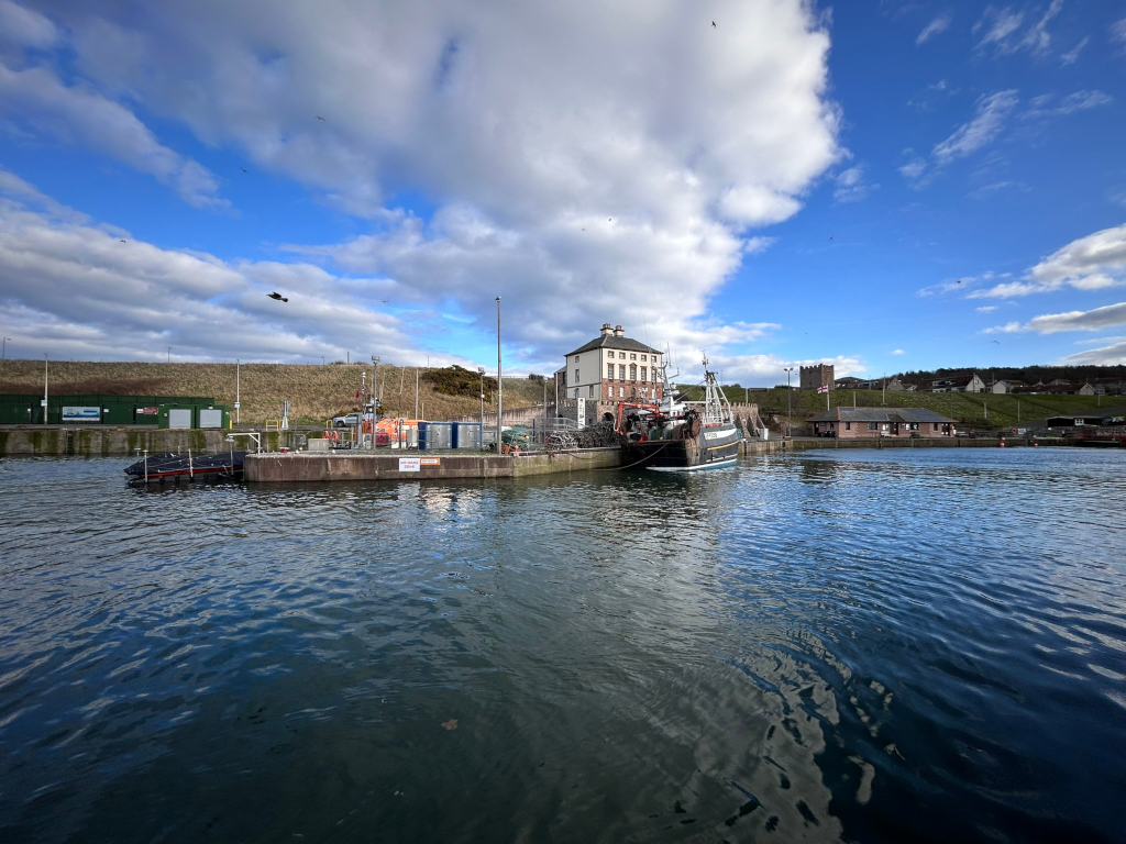 Tranquil harbour scene under a partly cloudy sky.  A fishing trawler is prominently featured, docked near a multi-story building that appears to be part of the harbour infrastructure. Smaller boats and structures are visible in the background, along with a hillside featuring buildings and some vegetation. The overall mood is peaceful and evocative of coastal life. The water is relatively calm, reflecting the sky and buildings. Birds are visible in the sky, adding to the natural feel of the scene.