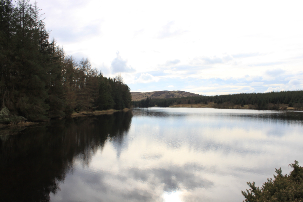 Tranquil lake scene. On the left, a dense line of evergreen trees borders the calm, dark water of the lake. The water reflects the sky and clouds above, creating a nearly mirror-like effect. In the distance, across the lake, a low, gently rolling hill is covered with more trees. The sky is mostly cloudy, with soft, diffused light. The overall mood is peaceful and serene.