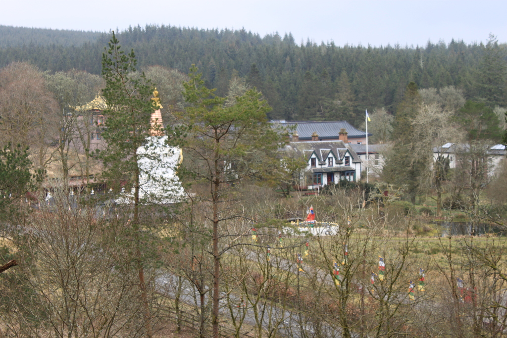 Long shot of a Buddhist monastery nestled in a wooded area.  A large white stupa with a gold finial is prominent in the mid ground, partially obscured by trees. Other buildings, including a style reminiscent of a Western house, are visible behind and to the side of the stupa. Prayer flags line a path or road leading toward the buildings. The overall setting is peaceful and serene. The background is a dense, dark evergreen forest, giving a secluded and contemplative atmosphere to the scene. The wintry or early spring season is suggested by the bare branches of many trees in the foreground.