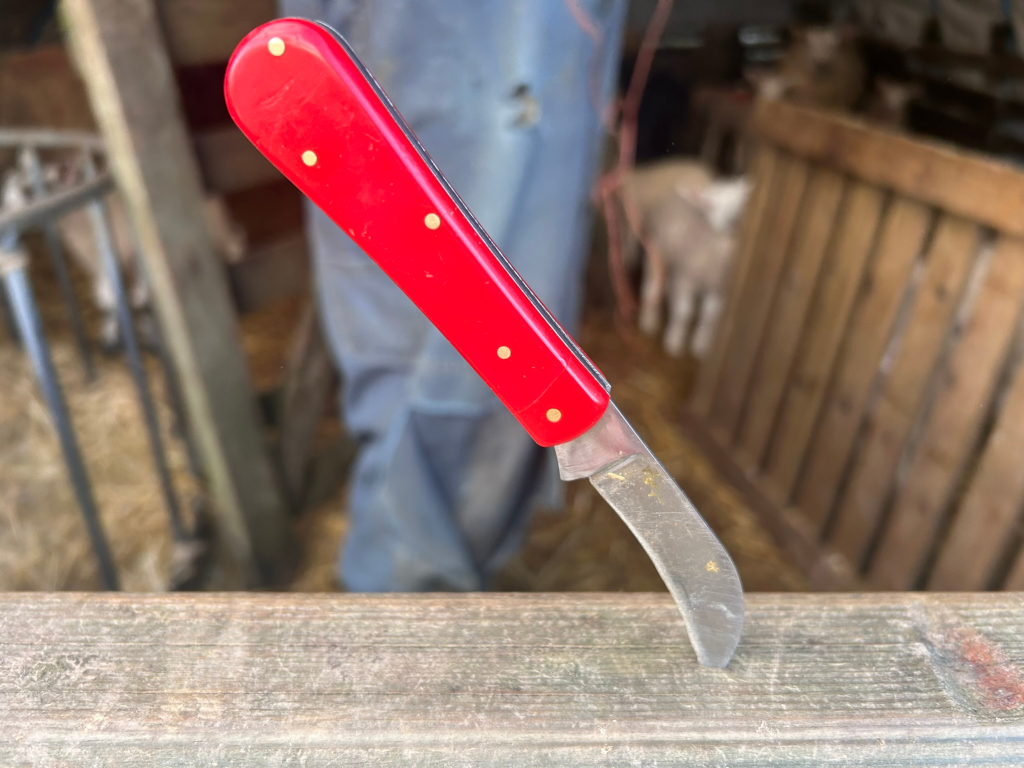 Red pocketknife with a small, curved blade resting on a weathered wooden surface. The background is blurred but shows a farm setting with lambs and a person's legs in jeans visible. The overall impression is one of rural life and perhaps farm work.