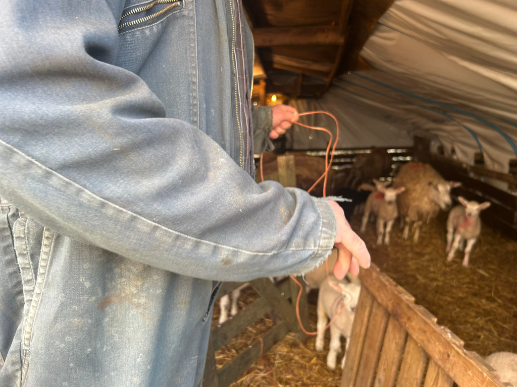 Close-up view of Charlie's arm, clad in a worn denim work jacket, holding a thin orange wire. The background is a rustic barn or shed, dimly lit, containing a small flock of lambs and a few adult sheep resting on straw bedding. The overall impression is of a farmer or shepherd tending to their young flock in a simple, rural setting. The slightly blurry background and focus on Charlie and twine suggest a moment of quiet work.