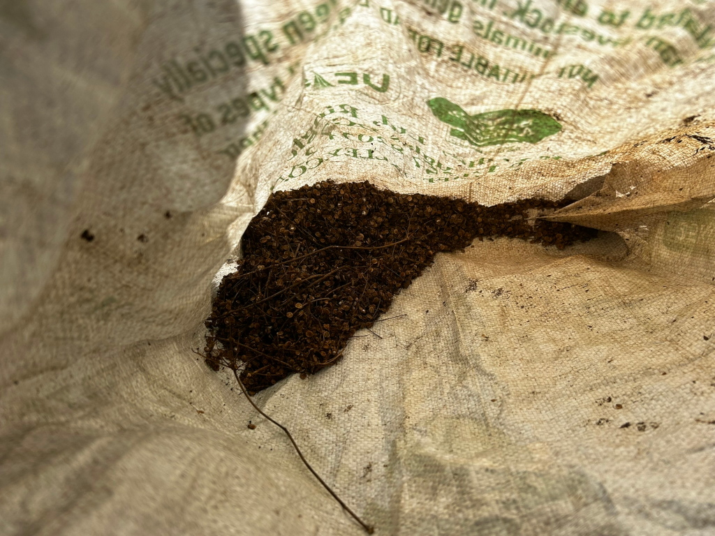 Partially filled burlap sack containing a quantity of dark brown, seed-like material. The sack appears worn and dirty, with some visible text on the outside. The overall impression is one of a simple, possibly agricultural or gardening, context.