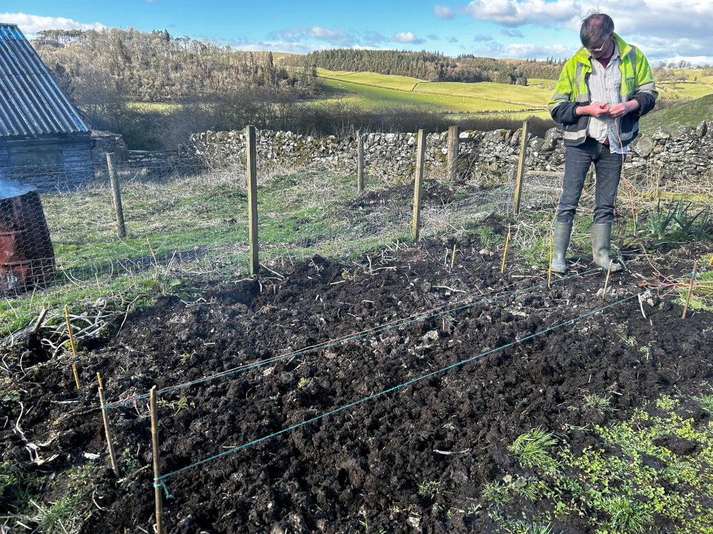 Charlie in a high-visibility jacket and wellies preparing a section of tilled soil for planting. Charlie using string to mark out rows within a fenced-off garden plot. The background reveals a rural landscape with fields and hills. A burn barrel is visible in the left foreground.
